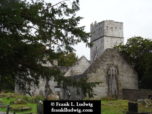 Muckross Abbey